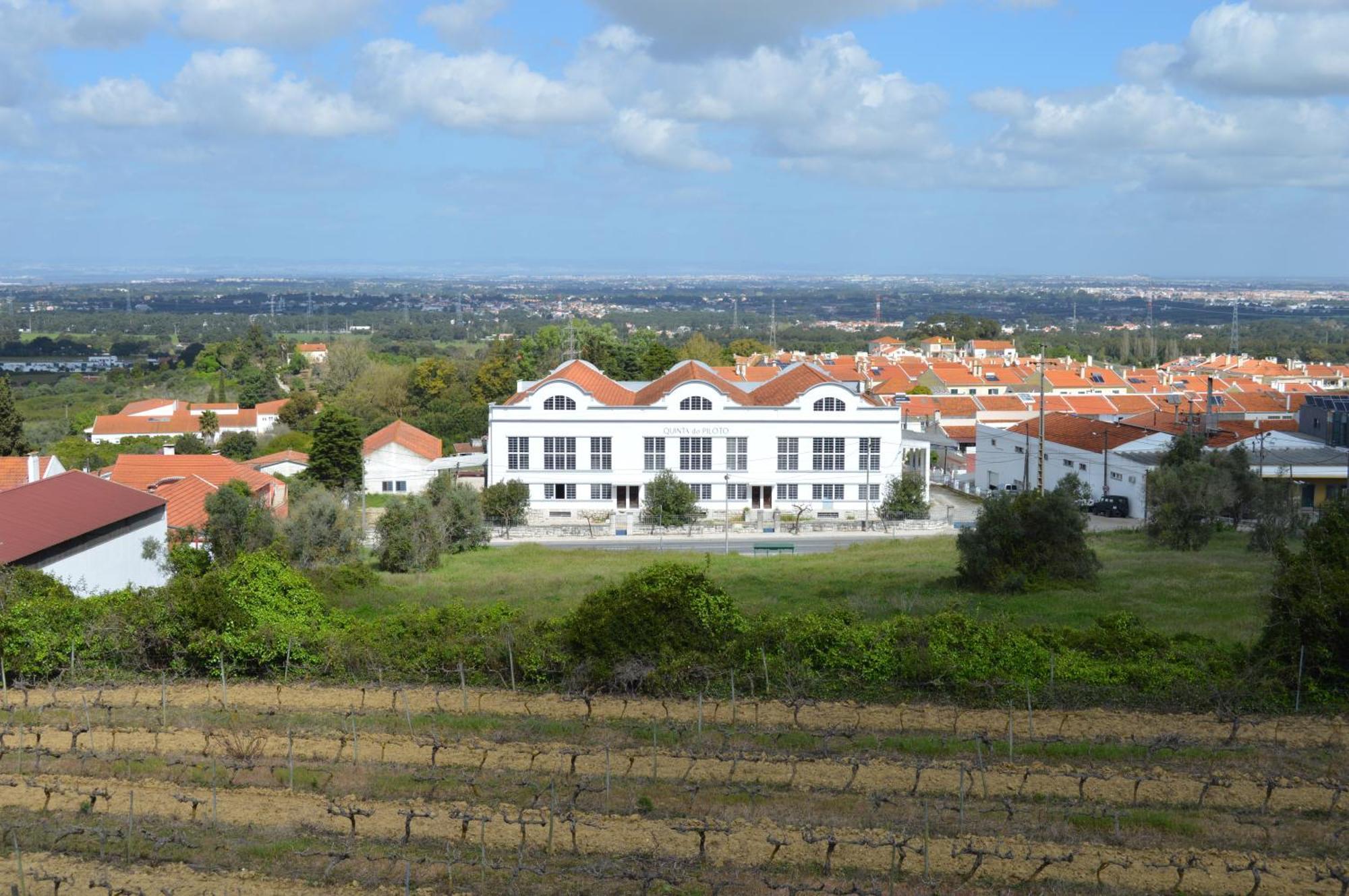 Quinta Do Piloto Guest House ปัลเมลา ภายนอก รูปภาพ